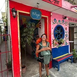 Maison d'hôtes Mi Refugio Dive House, Cozumel
